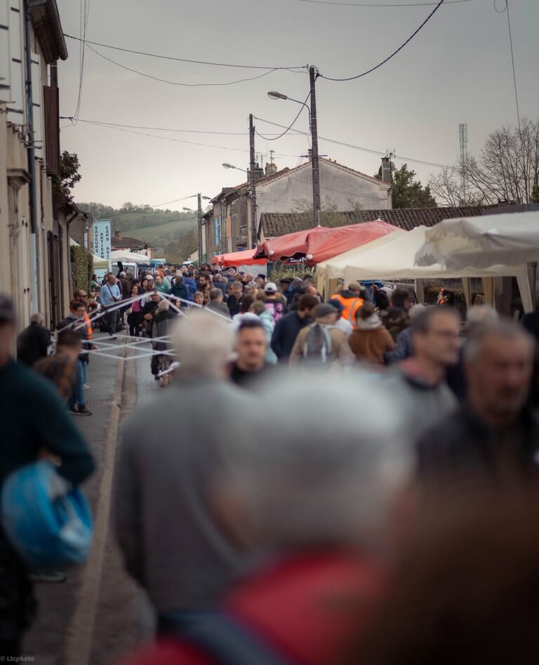 Foire agricole de réalmont 2026